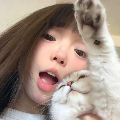 翱翔于天际的夜鹰